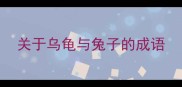 关于乌龟与兔子的成语
