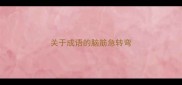 关于成语的脑筋急转弯