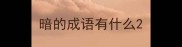 暗的成语有什么