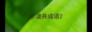 沙漠井成语