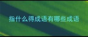 指什么得成语有哪些成语