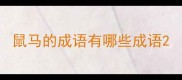 鼠马的成语有哪些成语