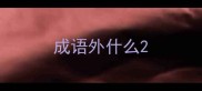 成语外什么