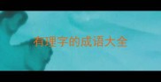 有理字的成语大全