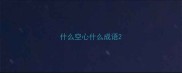 什么空心什么成语