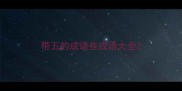 带五的成语些成语大全