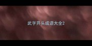 武字开头成语大全