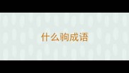 什么驹成语
