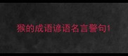 猴的成语谚语名言警句