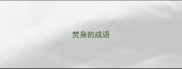 焚身的成语