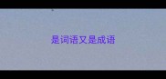 是词语又是成语