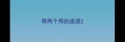 带两个用的成语