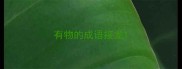 有物的成语接龙