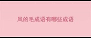 风的毛成语有哪些成语
