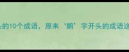 鹅毛大雪带头的10个成语原来鹅字开头的成语这么多