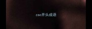 zao开头成语