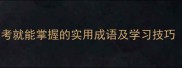 10个不用思考就能掌握的实用成语及学习技巧附完整