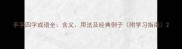 手字四字成语全含义用法及经典例子附学习指南