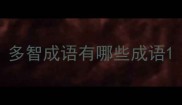 多智成语有哪些成语