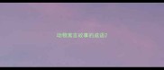 动物寓言故事的成语