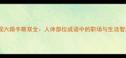 眼观六路手眼双全人体部位成语中的职场与生活智慧