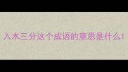 入木三分这个成语的意思是什么