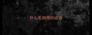 什么毛细雨的成语