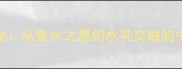 鱼水情成语全从鱼水之恩到水乳交融的中华处世智慧