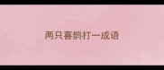 两只喜鹊打一成语