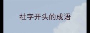 社字开头的成语