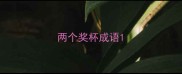 两个奖杯成语