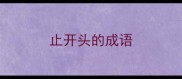 止开头的成语