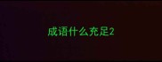 成语什么充足