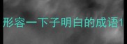 形容一下子明白的成语