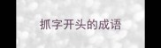 抓字开头的成语