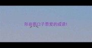 形容两口子恩爱的成语