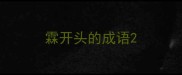 霖开头的成语