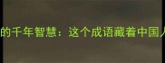 成语新解打心自问的千年智慧这个成语藏着中国人最珍贵的人生哲学