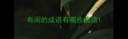 有闺的成语有哪些成语
