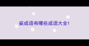 疵成语有哪些成语大全
