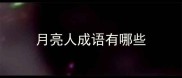 月亮人成语有哪些