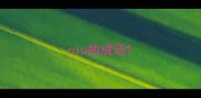niu的成语