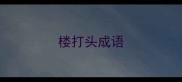 楼打头成语