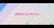 成语什么什么待什么
