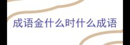 成语金什么时什么成语