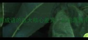 最全十大经典成语的五大核心差异从词源到用法的深度对比