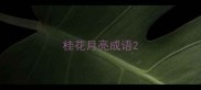 桂花月亮成语