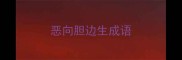 恶向胆边生成语