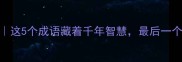 虎荡成语全这5个成语藏着千年智慧最后一个太惊艳了