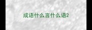 成语什么言什么语